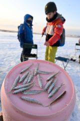 今季のホロカヤントーはワカサギが豊漁気味。子どもたちもどんどん釣り上げた（６日午前８時）