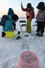 ワカサギ釣りの愛好者でにぎわう　大樹ホロカヤントー 6