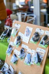 麦音で冬あそびパークが始まる　馬そりやカーリング体験、親子で楽しめるイベント続々 11