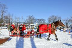 麦音で冬あそびパークが始まる　馬そりやカーリング体験、親子で楽しめるイベント続々 13