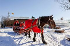 麦音で冬あそびパークが始まる　馬そりやカーリング体験、親子で楽しめるイベント続々 16