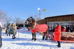 麦音で冬あそびパークが始まる　馬そりやカーリング体験、親子で楽しめるイベント続々 18
