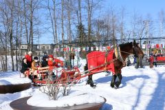 コマちゃんの馬そりｃａｆｅ（平栗玲香撮影）