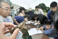 ザリガニ防除に取り組む萩原建設工業の社員と帯広北高の生徒ら（２０１３年６月）
