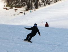 雪の感触を楽しむ来場者たち