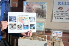 のとじま水族館への募金は正門前で受け付けている