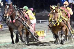 ゴール直前で最後の一脚を繰り出し、レースを制したダイヤカツヒメ（左）と赤塚騎手