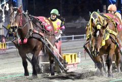 ゴール直前で最後の一脚を繰り出し、レースを制したダイヤカツヒメ（左）と赤塚騎手