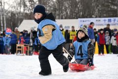 大きな声援を受けながら懸命にそりを引く子供たち