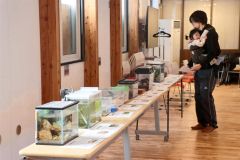 珍しい生き物が多く集まり、来館者は興味深く見ていた