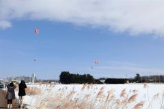 十勝の上空を舞う色鮮やかな熱気球（平栗玲香通信員撮影）