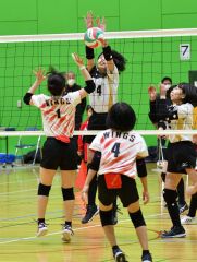Ｒ・Ｙ２連覇　混合は鹿追が２年ぶりに制す　バレーボール勝毎杯小学生大会 8