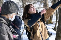 冬芽について説明する野表さん（右）
