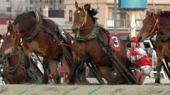 迫力ある「ばんえい競馬」のレース場面（ＨＢＣ提供）