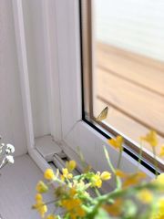 佐藤さん宅で羽化したチョウ