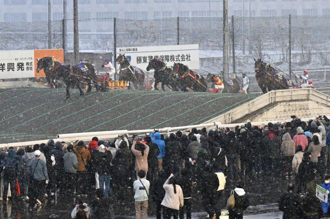 ファンファーレ生演奏、馬の迫力が心打つ　ばんえい記念７６４１人来場