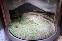 改修されたジオラマ