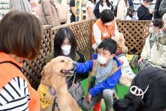 セラピードッグ「ラムラン」との触れ合いを楽しむ触れ合い会の来場者。同会の会員はオレンジのベストを着ている