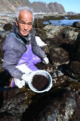 広尾町内の沿岸で、フノリを採取する漁業者(27日午前9時15分ごろ)