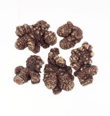 冷え性や不眠症などの漢方薬に配合されるセンキュウの根茎（ツムラ提供）