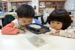 羽化したチョウに夢中な園児