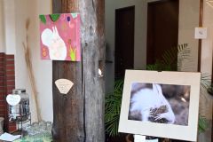 野生動物を写真と絵画で　豊頃でユニークなコラボ展 2