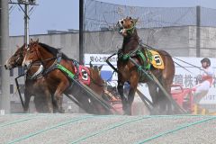 能力検査に挑むばん馬と騎手たち