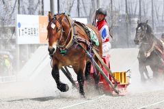 スターイチバンが一番時計２分１２秒６　ばんえい十勝第１回能力検査