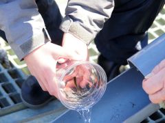 手作りの樋をつたって稚魚を放流する児童