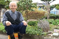 児玉さんと福寿草（１６日１１時０５分ごろ、児玉さん宅）