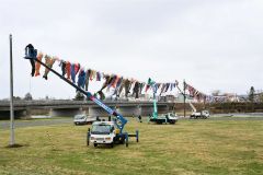 歴舟川のこいのぼり（金野和彦撮影）