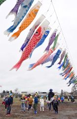 こいのぼりを見て大はしゃぎする園児たち（１９日午前１０時４５分ごろ、大樹町の歴舟川河川敷で。金野和彦撮影）