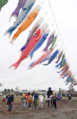 こいのぼりを見て大はしゃぎする大樹町の園児たち（１９日午前１０時４５分ごろ。金野和彦撮影）