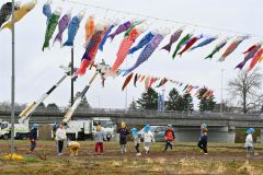 歴舟川こいのぼり、今年は４００匹　見学の園児歓声　大樹