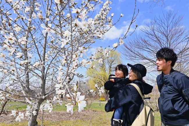 観光庭園に春到来　今季営業スタート
