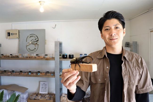 札内に昆虫ショップ開店　「ヘラクレス」など３０種類販売
