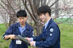 サクラの「標本木」の開花状況を確認する帯広測候所の職員(23日午前10時10分)
