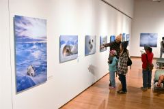 アラスカに暮らす野生動物の姿を捉えた星野氏の作品に見入る来場者（２０日、午前１０時４０分ごろ。金野和彦撮影）
