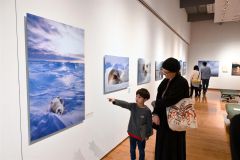 アラスカに暮らす野生動物の姿を捉えた星野氏の作品に見入る来場者（２０日、午前１０時２０分ごろ。金野和彦撮影）