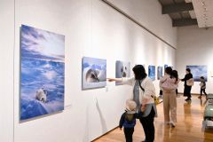 アラスカに暮らす野生動物の姿を捉えた星野氏の作品に見入る来場者（２０日、午前１０時２０分ごろ。金野和彦撮影）