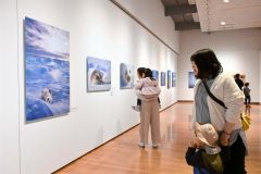 アラスカに暮らす野生動物の姿を捉えた星野氏の作品に見入る来場者（２０日、午前１０時２０分ごろ。金野和彦撮影）