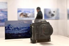星野道夫写真展（金野和彦撮影）