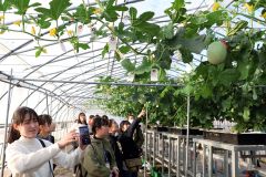 畜大生バスツアーで牧場やチーズ工房見学　同友会