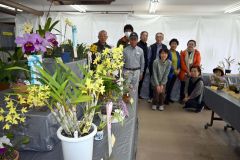 出品した洋ランを前に並ぶ会員(24日午前11時ごろ、マツダ樹生園本店で)