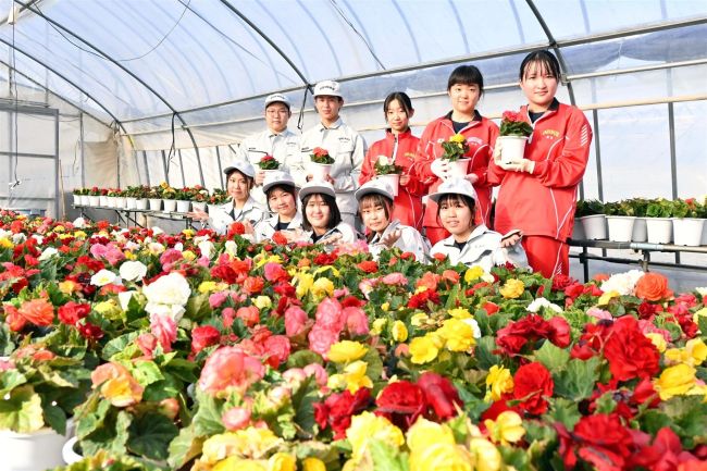 心を込めて花苗販売　５月２日に帯農高で