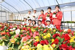 心を込めて花苗販売　５月２日に帯農高で