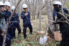 シラカバ樹液を採取する生徒