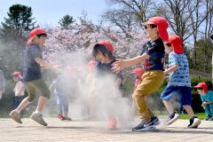開花したサクラを背にミスト噴水で遊ぶ園児たち（２６日、午前１０時２０分ごろ、音更町役場前で。金野和彦撮影）