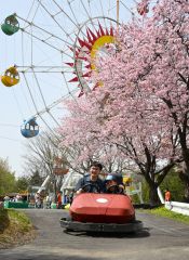夏季開園のおびひろ動物園　親子連れでにぎわう