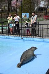 おびひろ動物園オープン（２７日、金野和彦撮影）